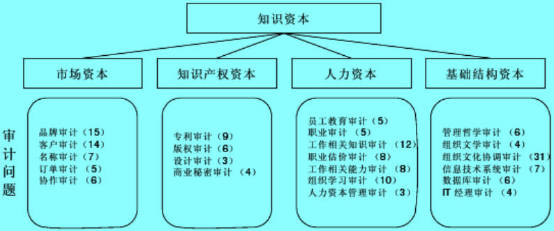 安妮·布鲁金的智力资本审计测量模型