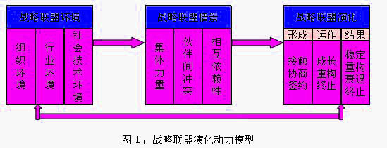 Image:战略联盟演化动力模型.jpg