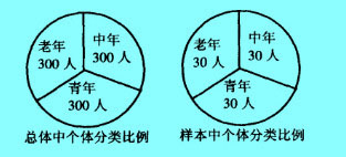 Image:总体中个体分类比例.jpg