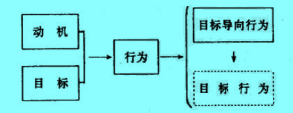 目标导向与目标导向行为